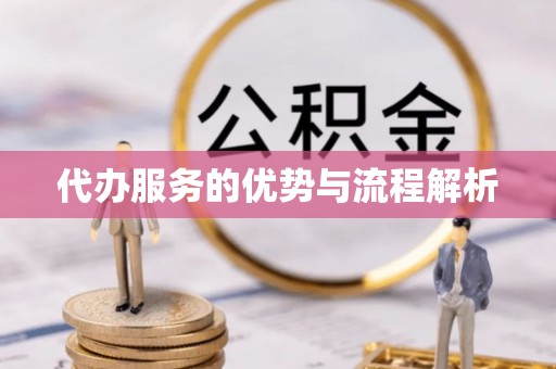 凭祥代办服务的优势与流程解析
