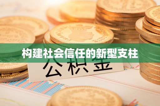 凭祥构建社会信任的新型支柱