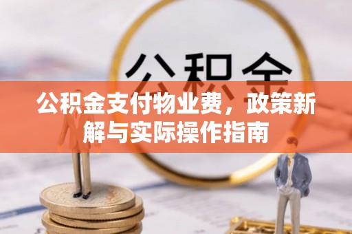 凭祥公积金支付物业费，政策新解与实际操作指南