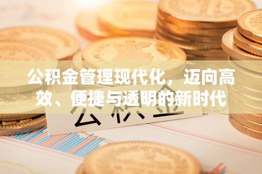 凭祥公积金管理现代化，迈向高效、便捷与透明的新时代