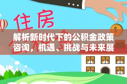 凭祥解析新时代下的公积金政策咨询，机遇、挑战与未来展望
