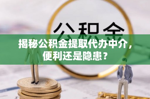 凭祥揭秘公积金提取代办中介，便利还是隐患？