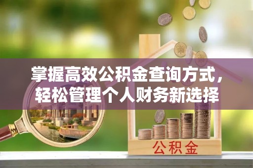 凭祥掌握高效公积金查询方式，轻松管理个人财务新选择