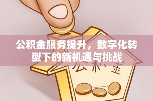 凭祥公积金服务提升，数字化转型下的新机遇与挑战