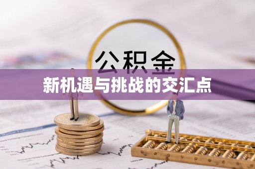 凭祥新机遇与挑战的交汇点