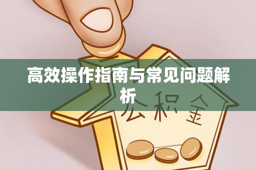 凭祥高效操作指南与常见问题解析