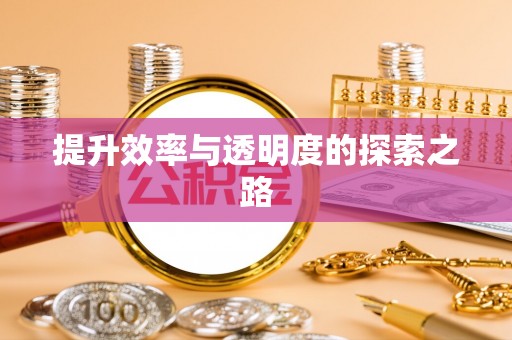 凭祥提升效率与透明度的探索之路