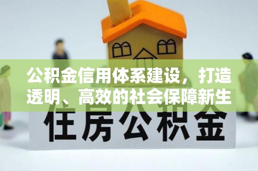 凭祥公积金信用体系建设，打造透明、高效的社会保障新生态