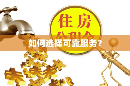 凭祥如何选择可靠服务？