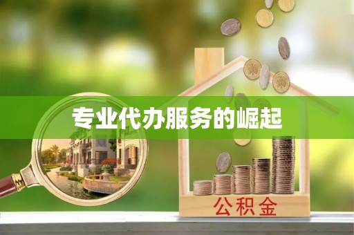 凭祥专业代办服务的崛起