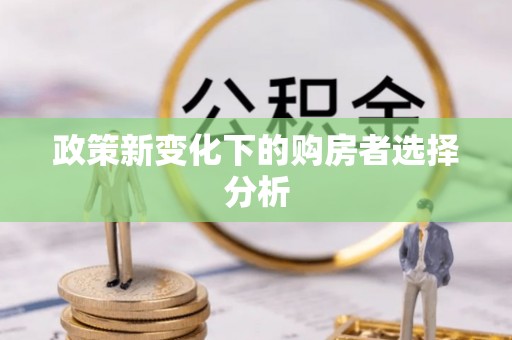 凭祥政策新变化下的购房者选择分析
