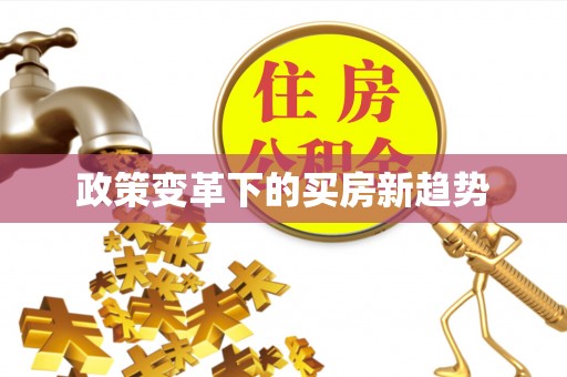 凭祥政策变革下的买房新趋势