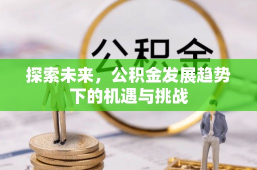 凭祥探索未来，公积金发展趋势下的机遇与挑战