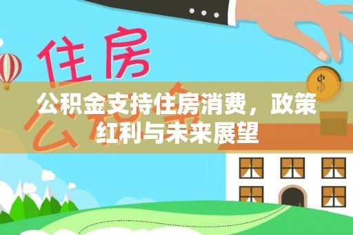 凭祥公积金支持住房消费，政策红利与未来展望