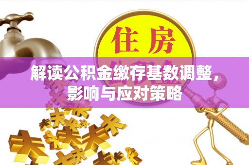 凭祥解读公积金缴存基数调整，影响与应对策略