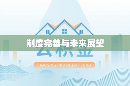 凭祥制度完善与未来展望