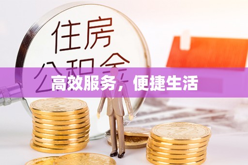 凭祥高效服务，便捷生活