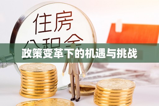 凭祥政策变革下的机遇与挑战