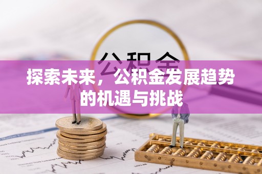 凭祥探索未来，公积金发展趋势的机遇与挑战