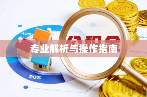 凭祥专业解析与操作指南