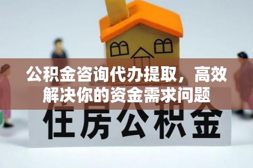 凭祥公积金咨询代办提取，高效解决你的资金需求问题