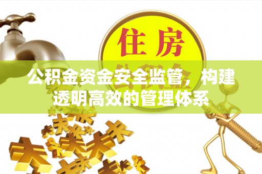 凭祥公积金资金安全监管，构建透明高效的管理体系