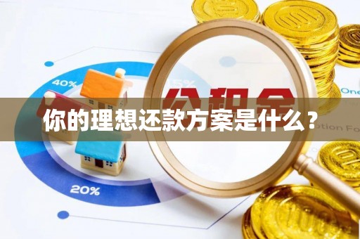 凭祥你的理想还款方案是什么？