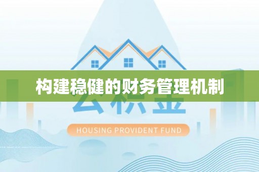凭祥构建稳健的财务管理机制