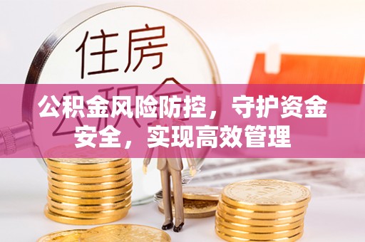 凭祥公积金风险防控，守护资金安全，实现高效管理