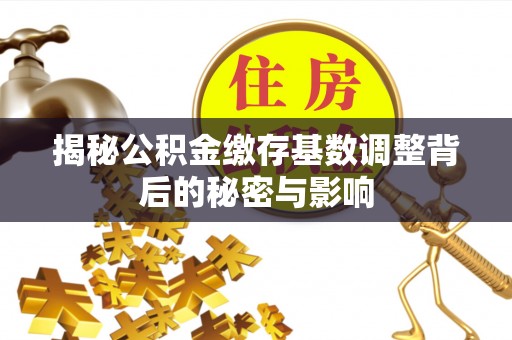 凭祥揭秘公积金缴存基数调整背后的秘密与影响