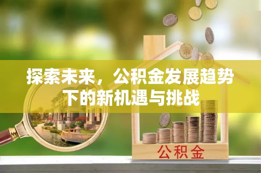 凭祥探索未来，公积金发展趋势下的新机遇与挑战