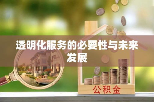 凭祥透明化服务的必要性与未来发展