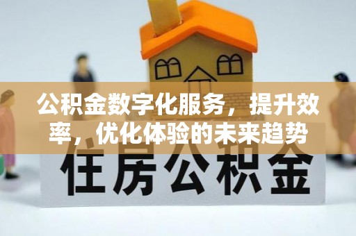 凭祥公积金数字化服务，提升效率，优化体验的未来趋势