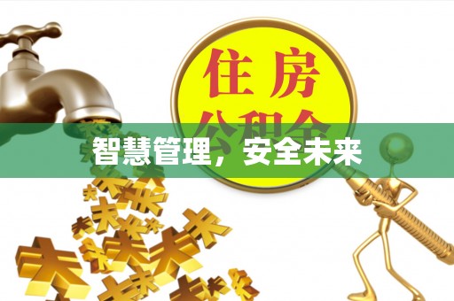 凭祥智慧管理，安全未来