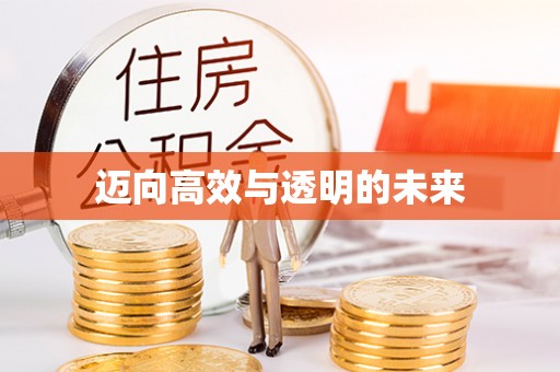 凭祥迈向高效与透明的未来