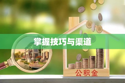 凭祥掌握技巧与渠道