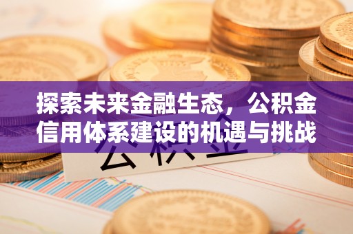 凭祥探索未来金融生态，公积金信用体系建设的机遇与挑战