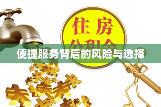 凭祥便捷服务背后的风险与选择