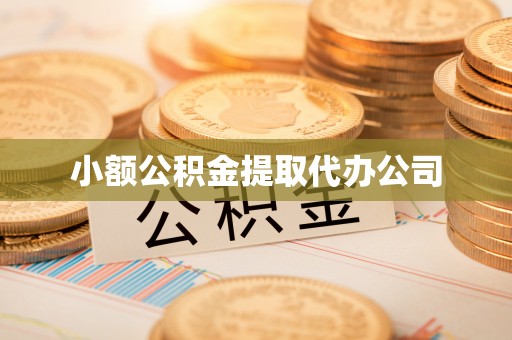 凭祥小额公积金提取代办公司