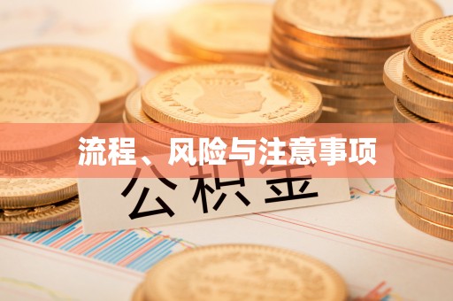 凭祥流程、风险与注意事项