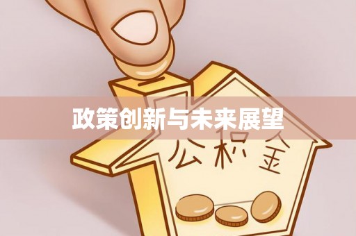 凭祥政策创新与未来展望